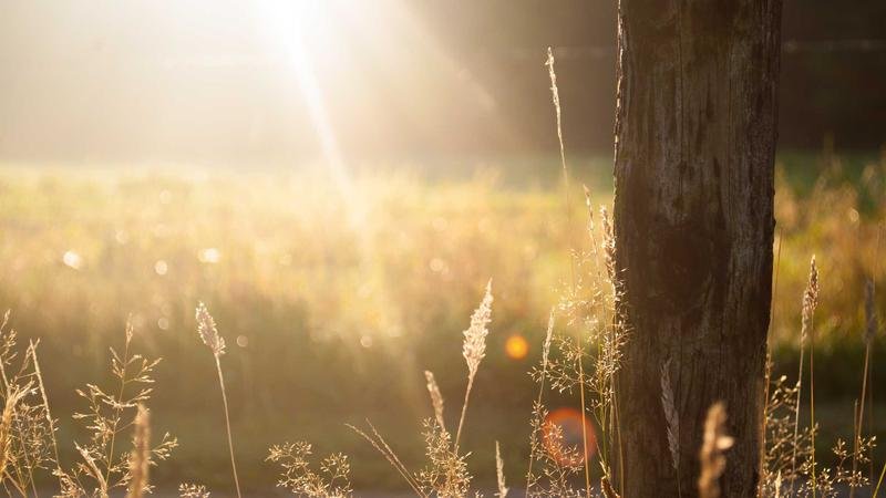 冒险岛矿山地带：平民玩家生存指南