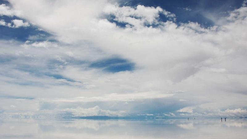 揭秘神秘森林：那些你不知道的隐藏技巧