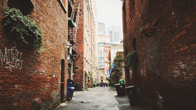 2026年冒险岛百草堂最新玩法详解