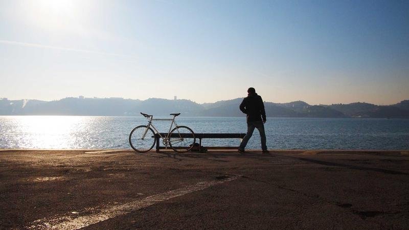 翡翠森林职业深度解析：技能连招与加点推荐