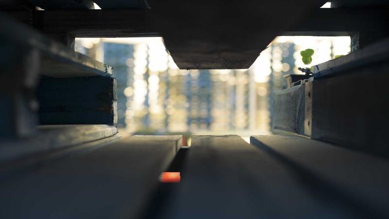 冒险岛狂龙战士攻略：从入门到精通