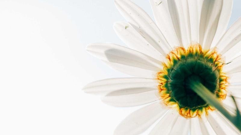 挑战地狱君主：BOSS机制与打法详解