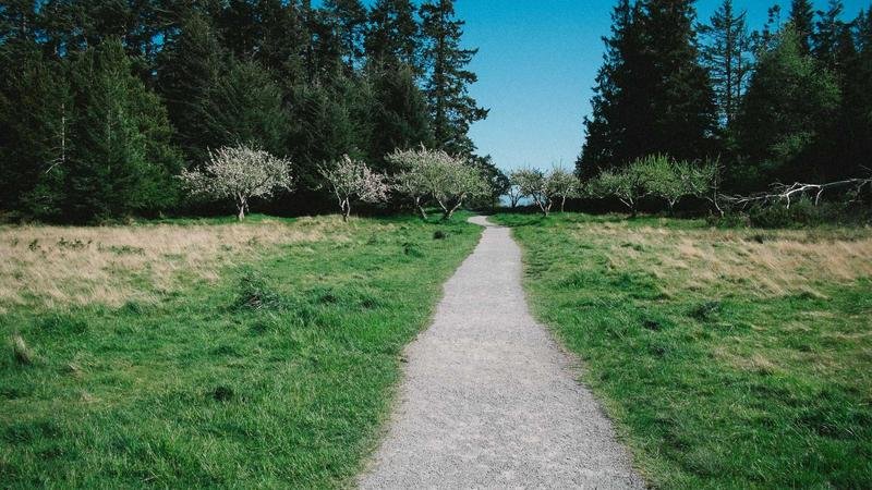 冒险岛废弃都市攻略：从入门到精通