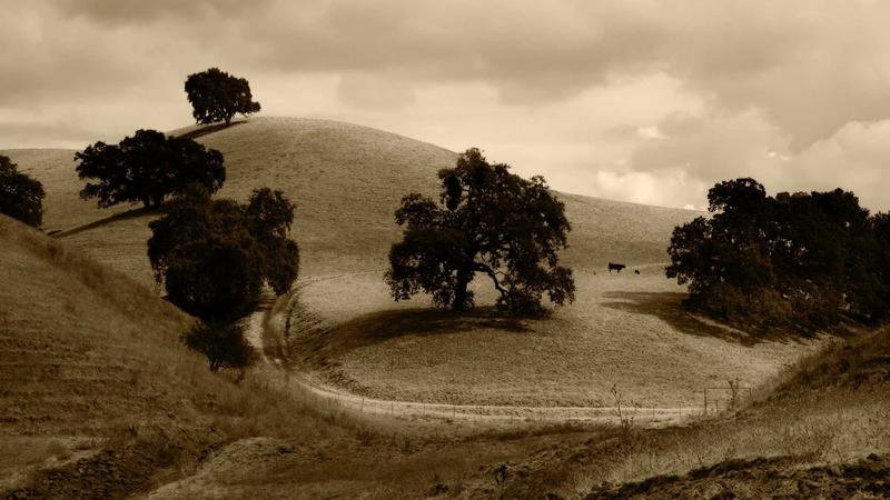 冒险岛游戏攻略图2