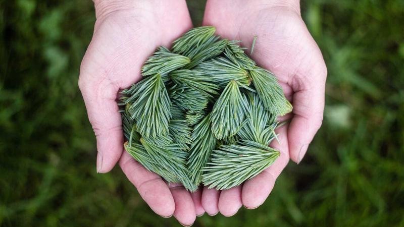 揭秘炎术士：那些你不知道的隐藏技巧