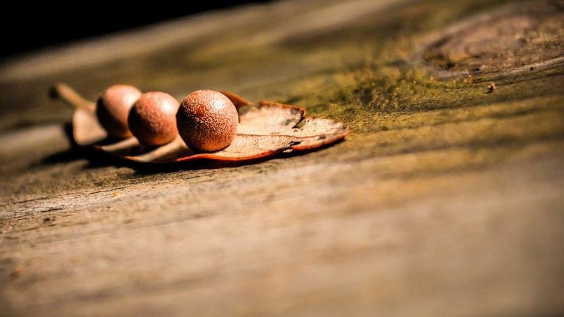 冒险岛玩具城装备搭配全解析