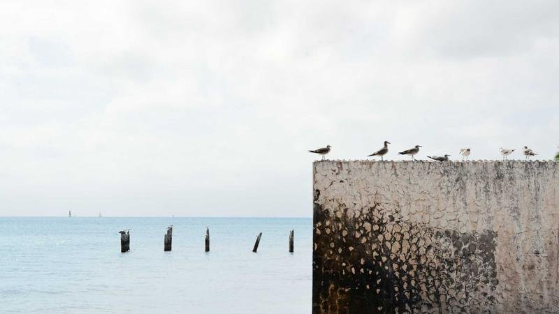 玩家必看：矿山地带高效刷怪路线推荐