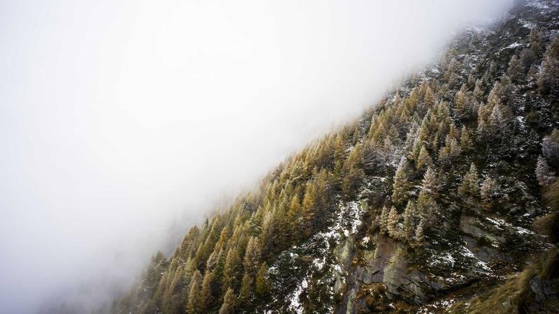 幻术大师职业深度解析：技能连招与加点推荐