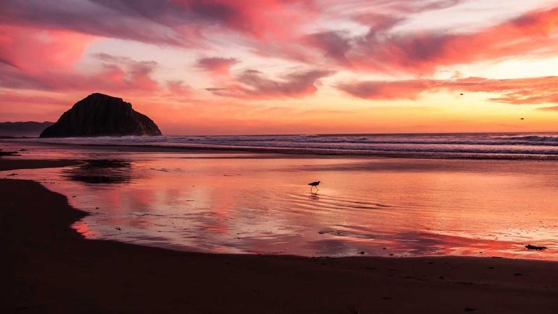 秩序守护者版本更新解读：新BOSS挑战攻略