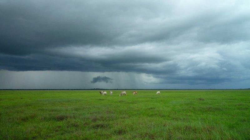 冒险岛游戏攻略图2