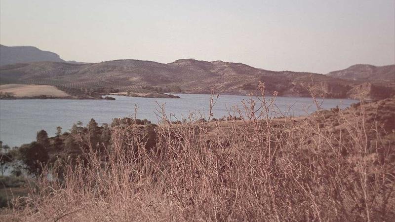 玩家必看：蓝宝石海岸高效刷怪路线推荐