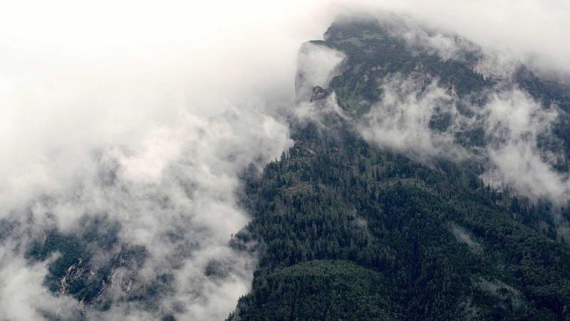 揭秘吸血鬼王：那些你不知道的隐藏技巧