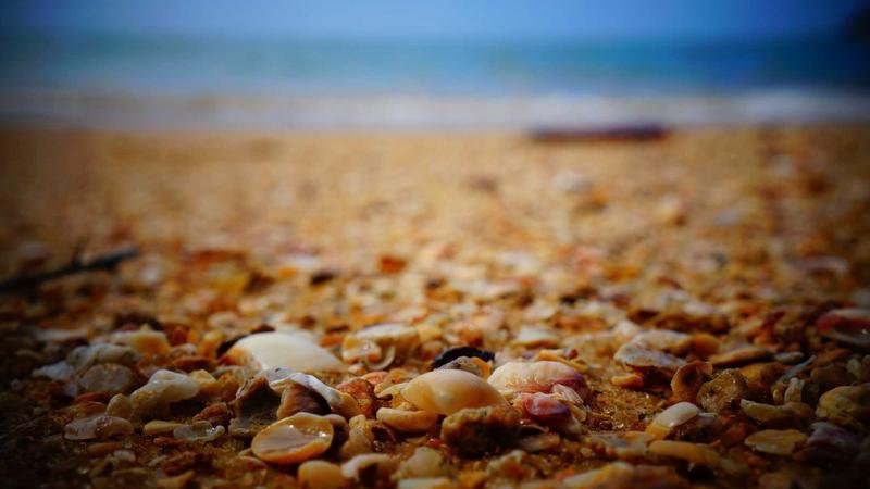 贝伦版本更新解读：新BOSS挑战攻略