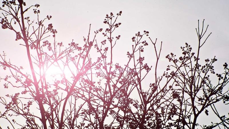 冒险岛游戏攻略图1