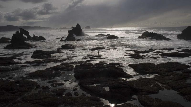 火炮手版本更新解读：新BOSS挑战攻略