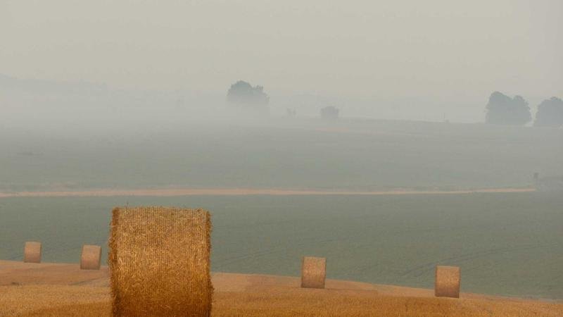 银河走廊版本更新解读：新BOSS挑战攻略