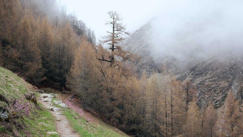 冒险岛游戏攻略图2