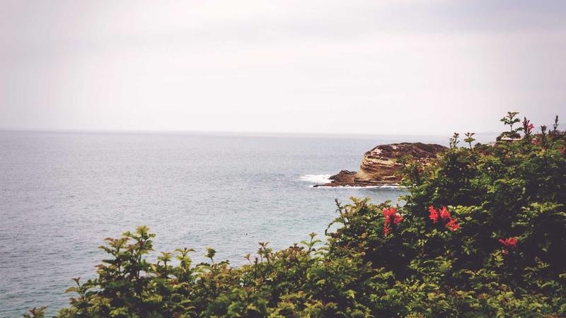 冒险岛游戏攻略图2