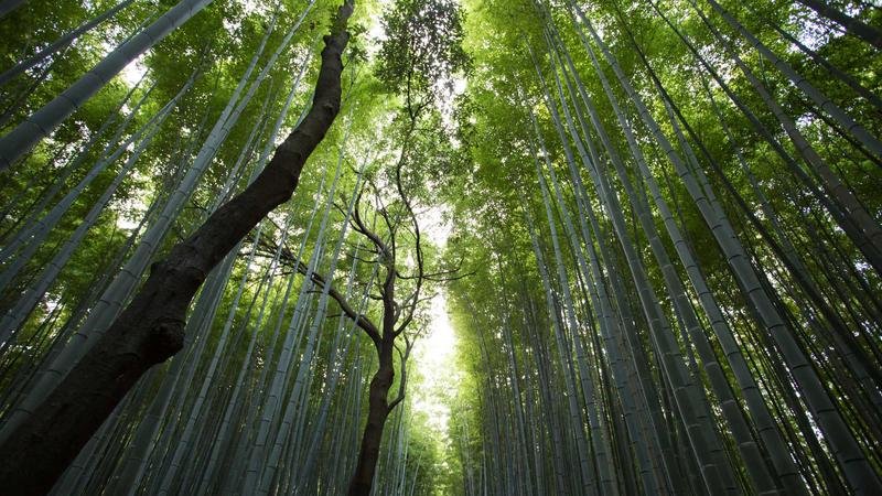 玩家必看：小丑高效刷怪路线推荐