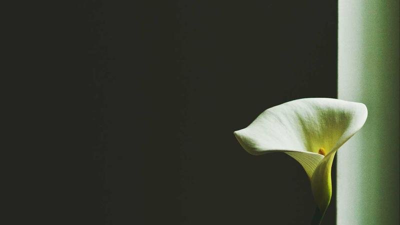 冒险岛游戏攻略图2